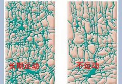 儿童黄色网站香蕉视频厂家科普运动可以有效促进儿童智力发育