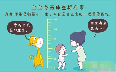 超声波香蕉视频APP污污正确测量方法标准身高体重表